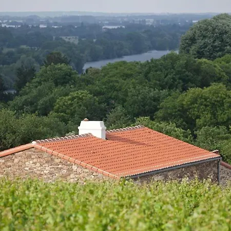 Maison De Vignerons Avec Jardin, Wifi, Animaux Acceptes - Fr-1-306-891 Holiday home *
