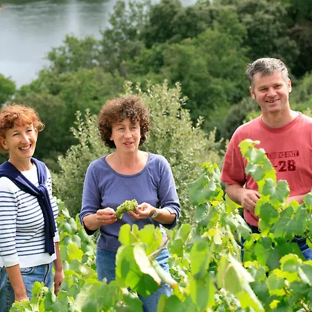 בית נופש Maison De Vignerons Avec Jardin, Wifi, Animaux Acceptes - Fr-1-306-891 *